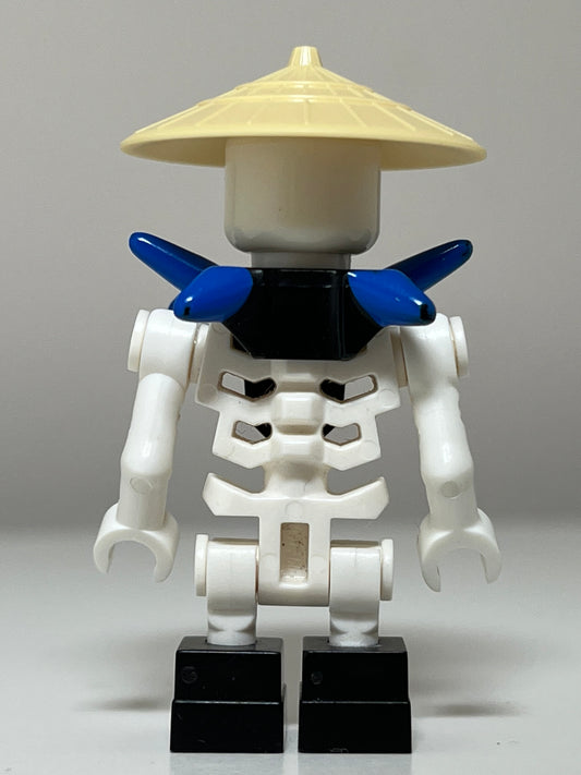 Skulkin
