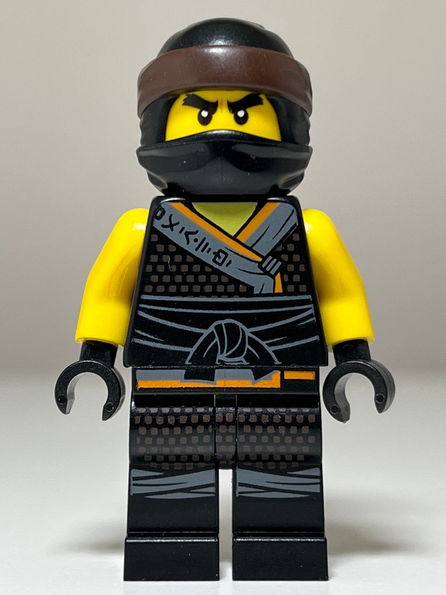 Cole - Sons of Garmadon