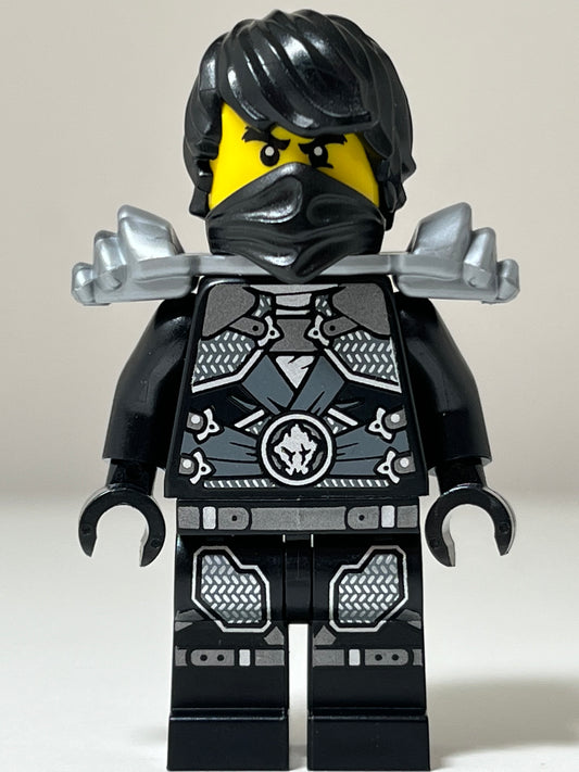 Stone Armor Cole