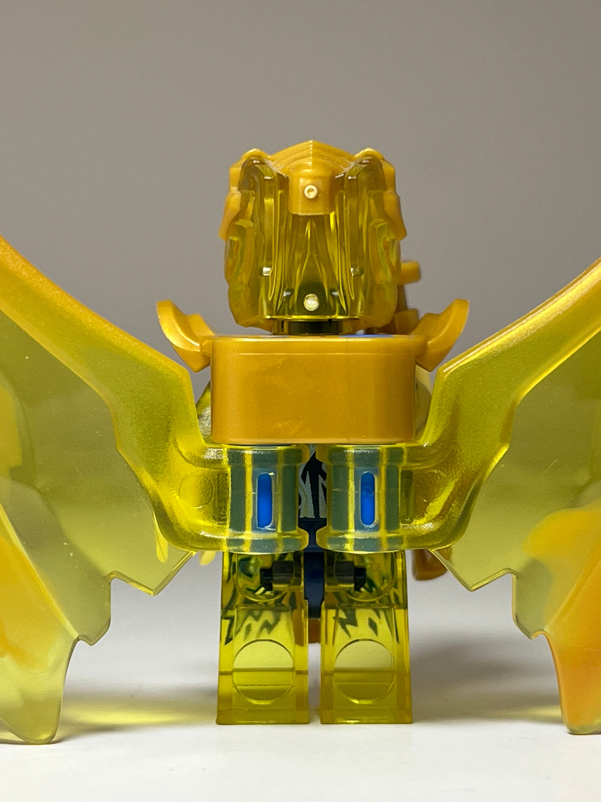 Golden Dragon Jay
