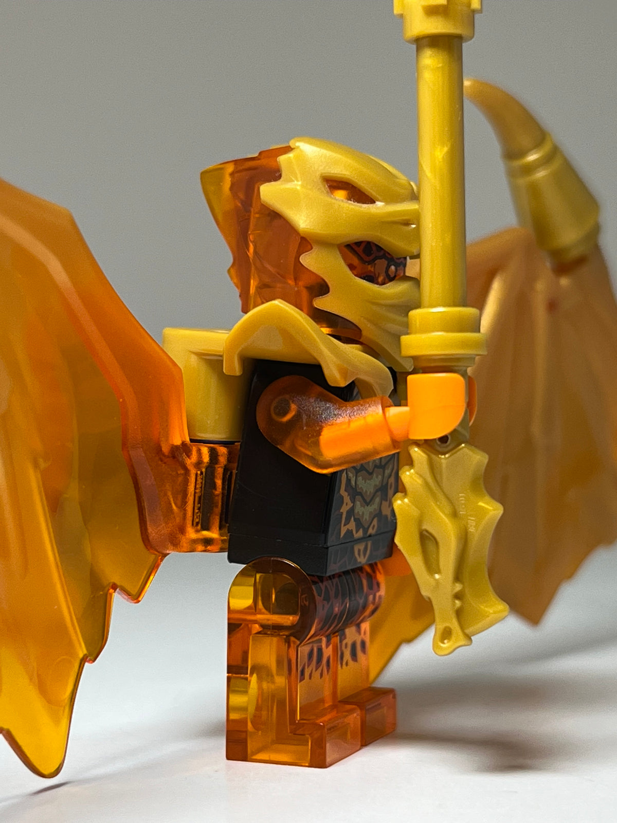Golden Dragon Cole